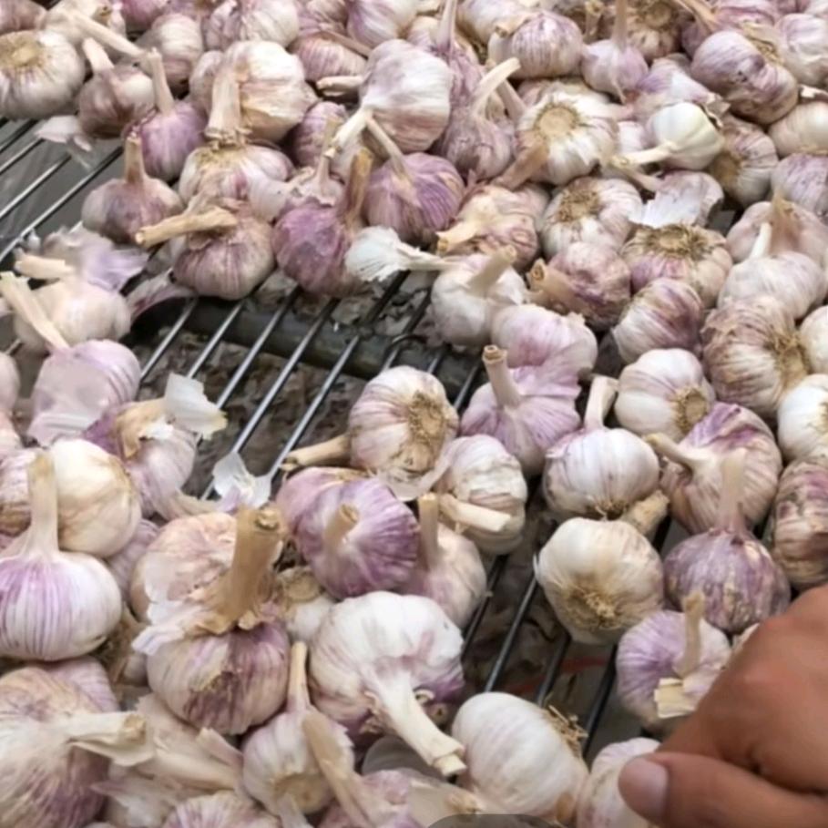 张蒜疯。疯子三哥
