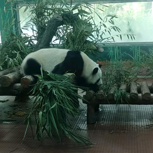 用青春换柴米油盐