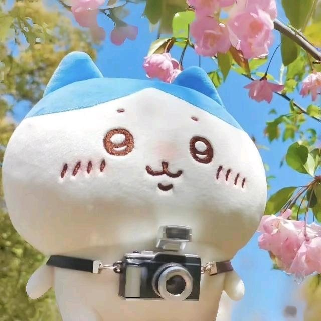 花时花食糖水