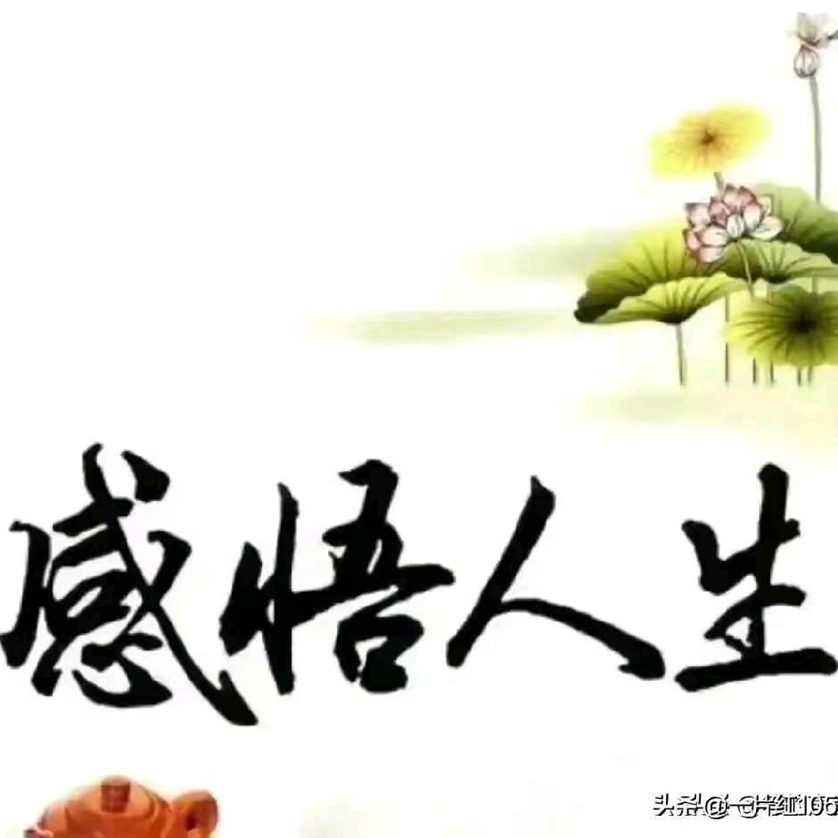 @随缘🔥