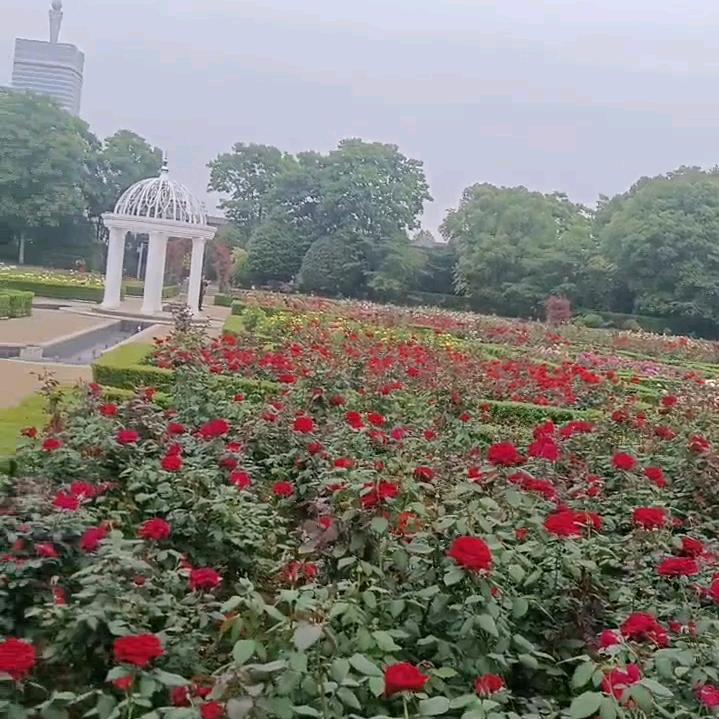 无情的人