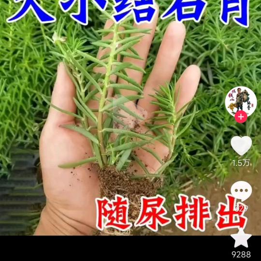 阿房宫