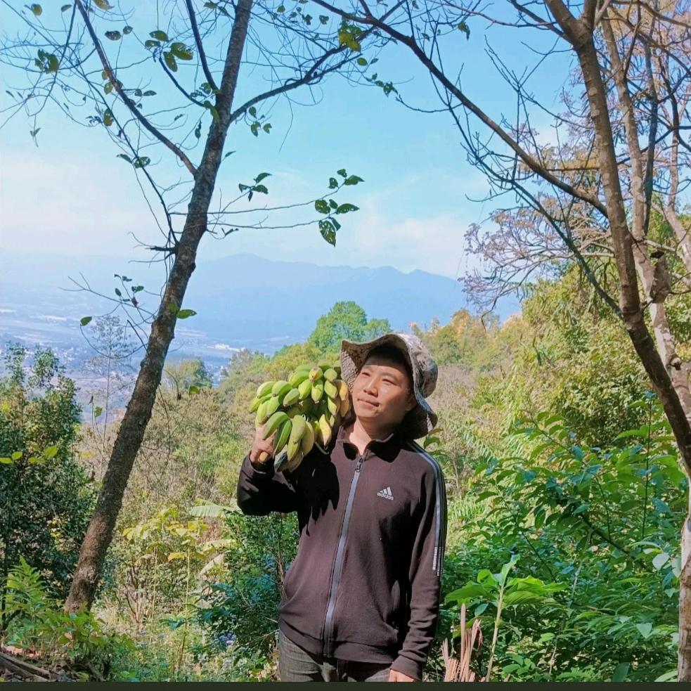 自由的飞翔
