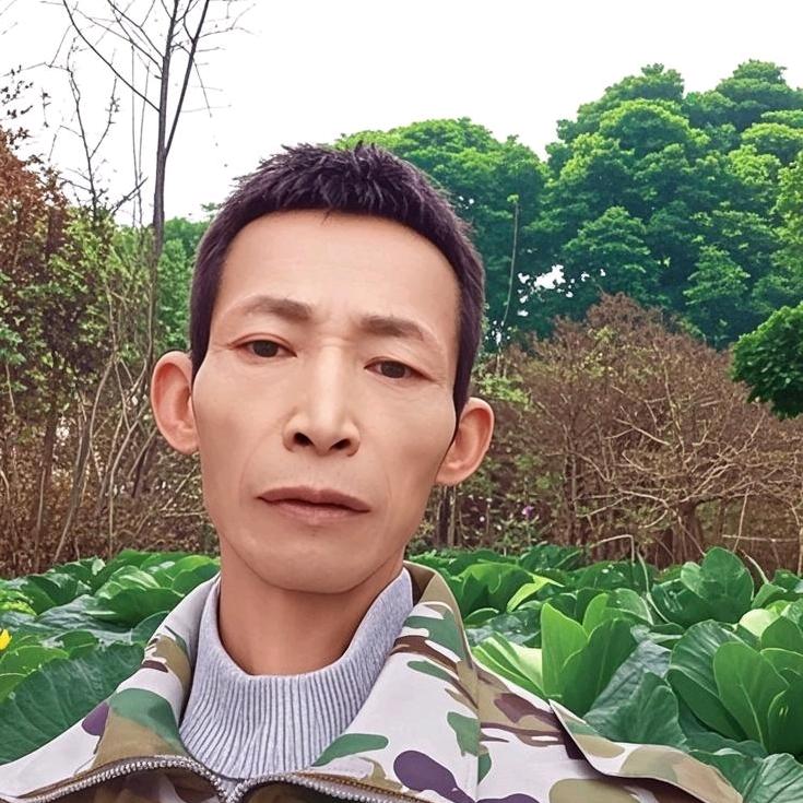 向来缘浅