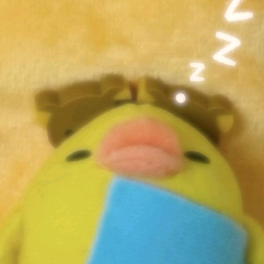 杂食星人