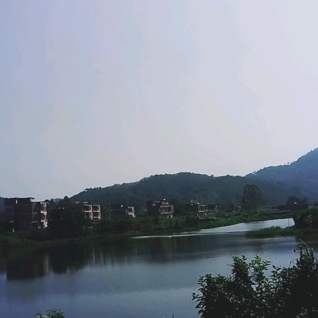 北雁南飞