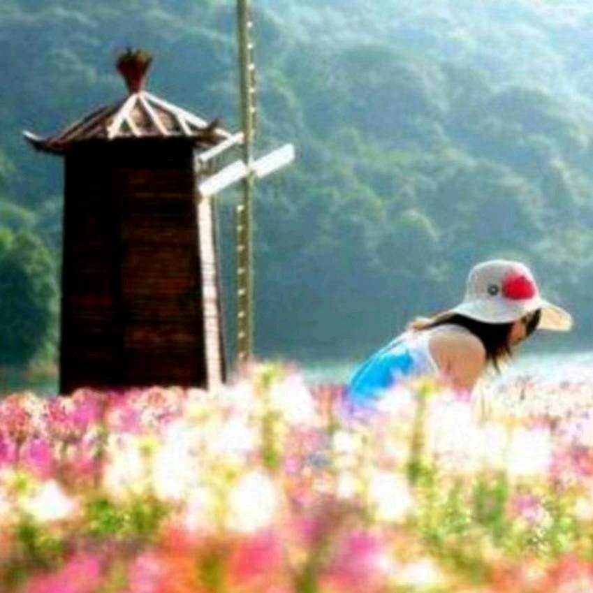 🍀微笑🌿
