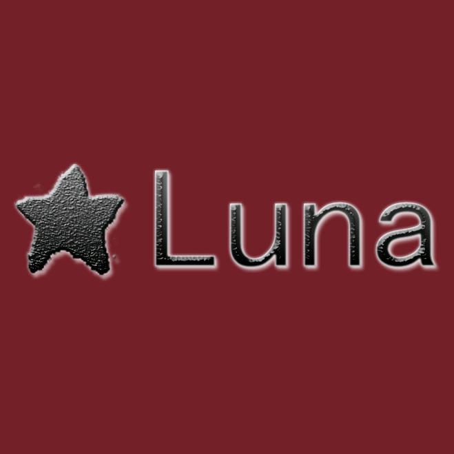 Luna Clasp绾月发饰
