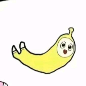 全世界最呆萌的水箭龟