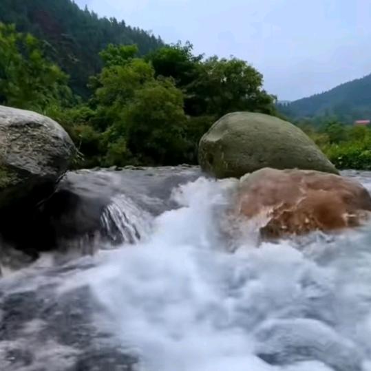 美丽的春城