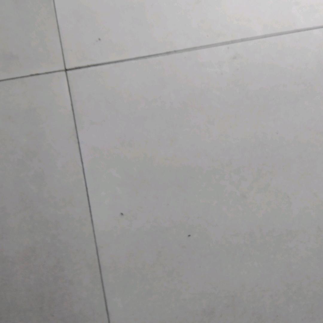 ♥抖音