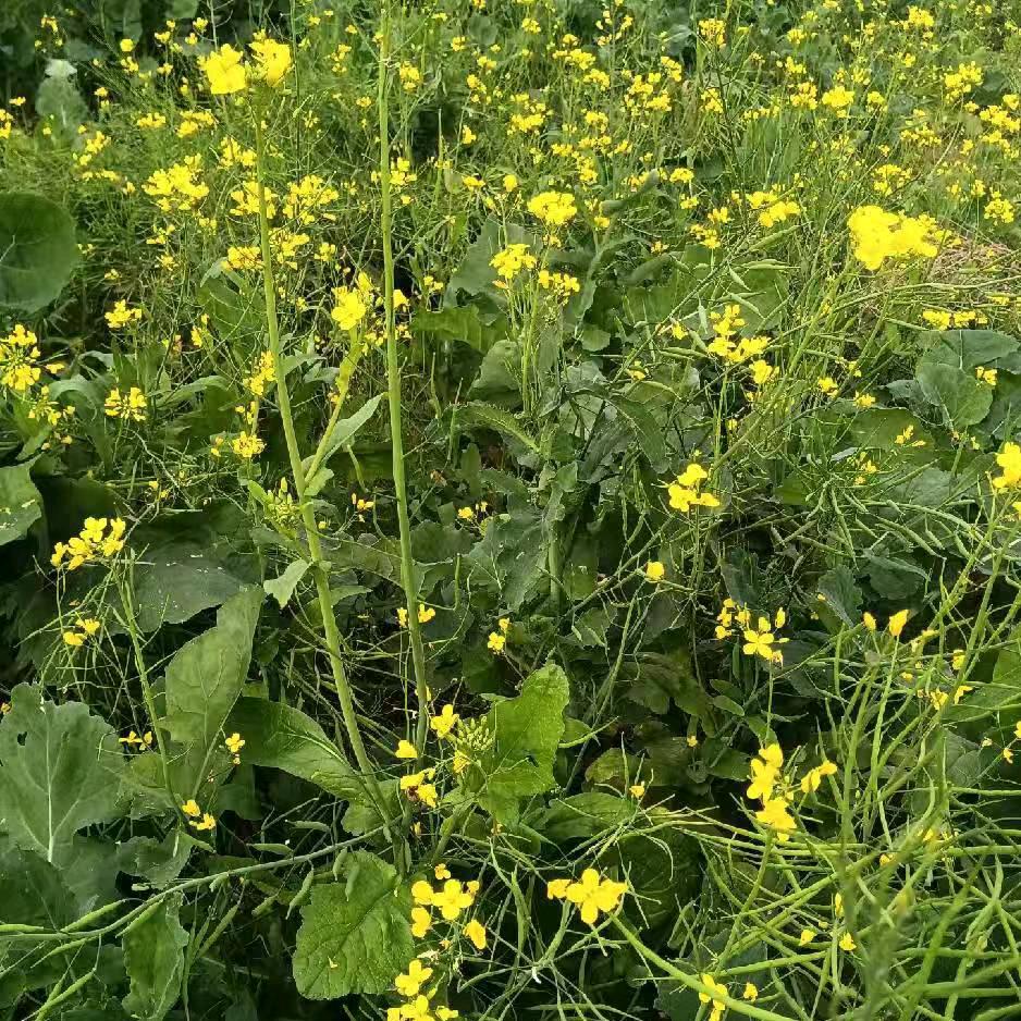 开心快乐每一天