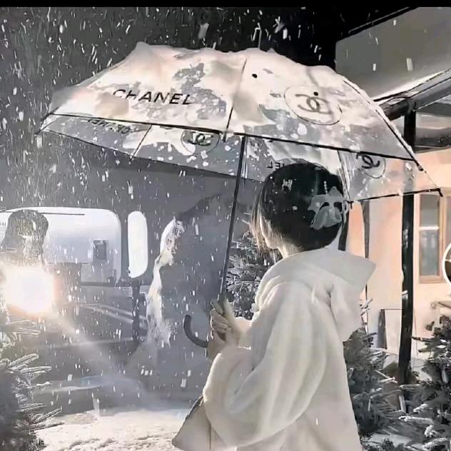 踏雪等风归