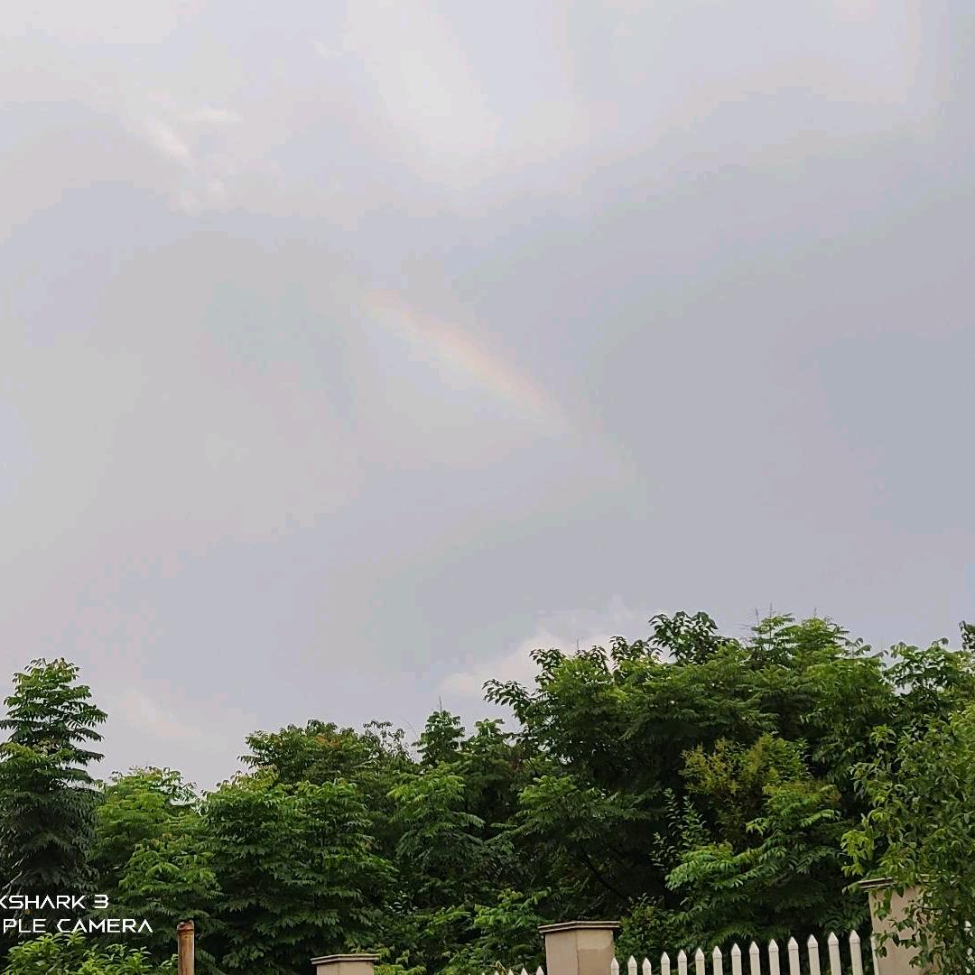 有爱的小K