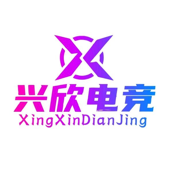 兴欣电竞(银子湖店)