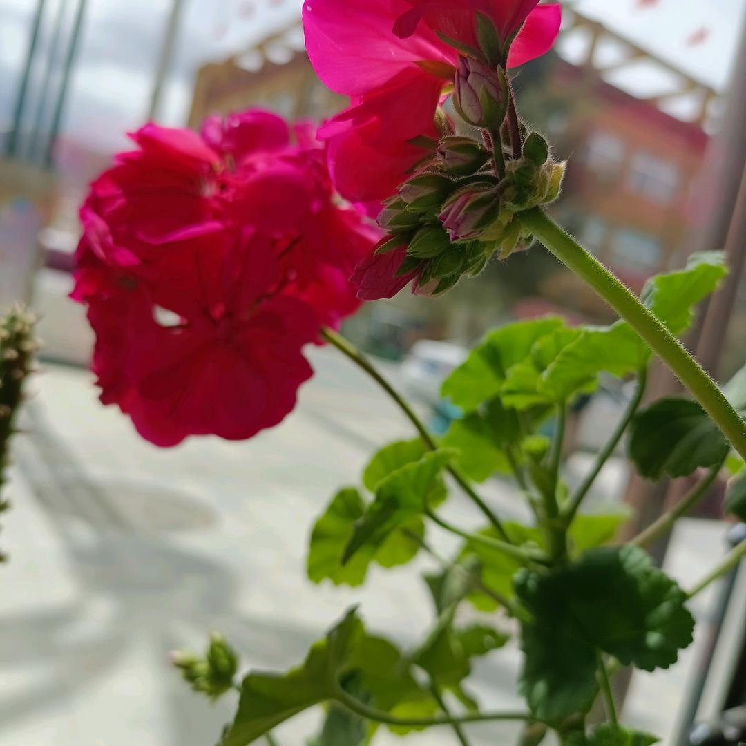 @💞༄༊࿆❀后᭄ꦿ来᭄ཽ࿆💞