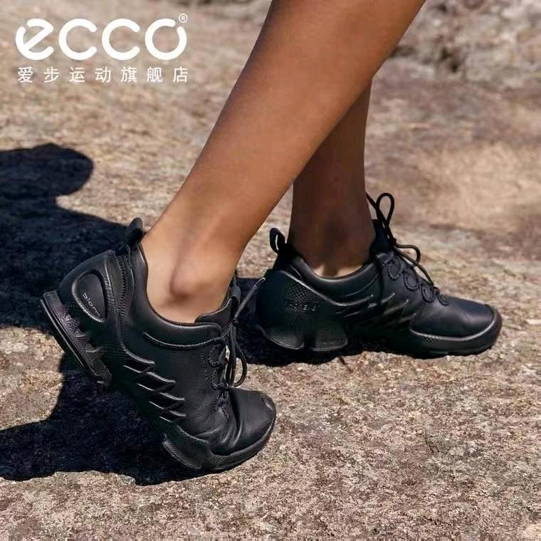 啊飛 ecco