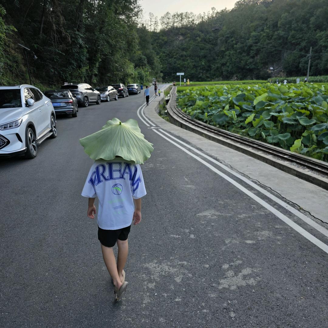 浪漫的探险家