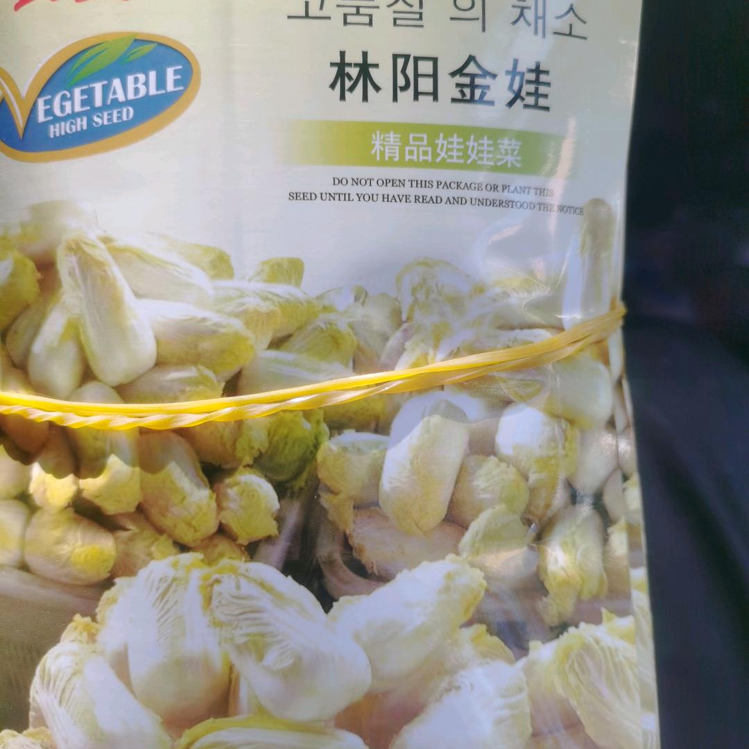 烂白菜