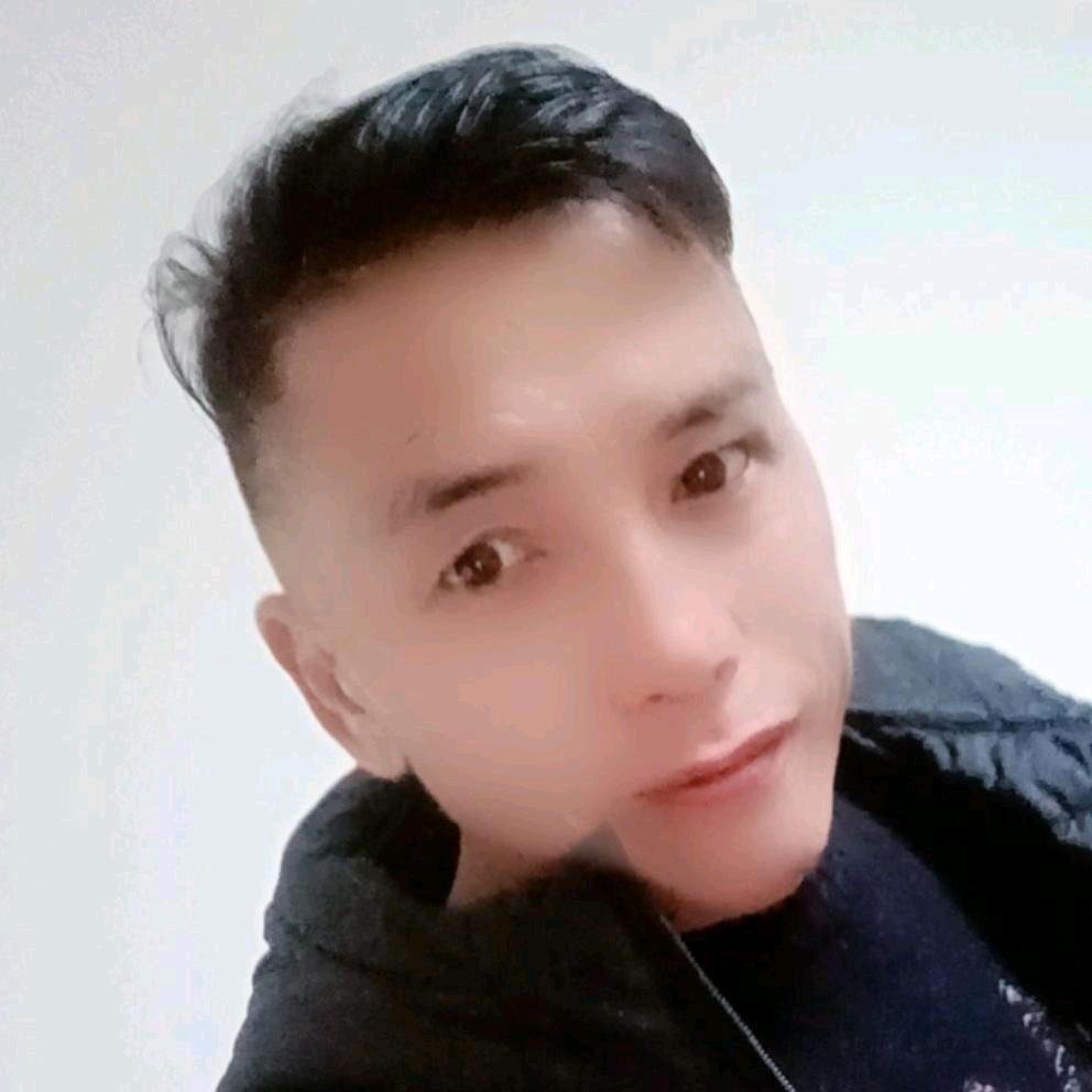 朱猪