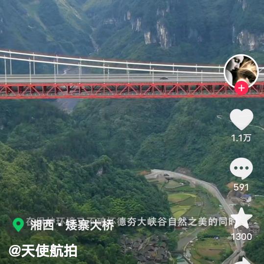 🌺韌勁🌹輝煌🌼