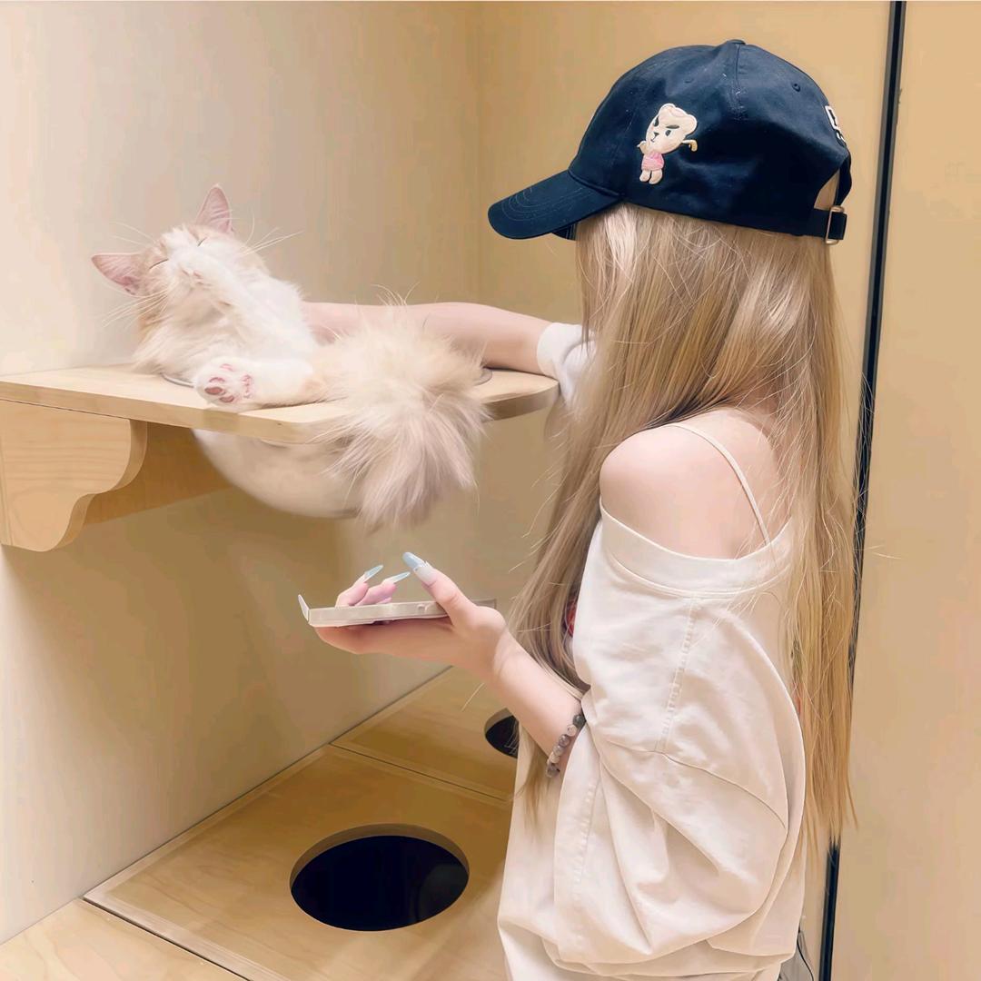 脆脆鲨鱼