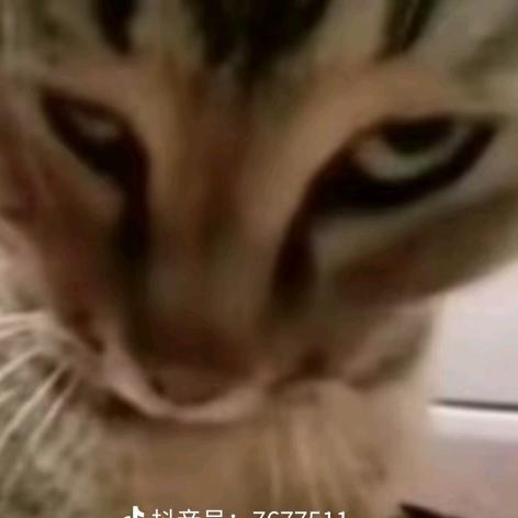 咦?我的娃哈哈呢?