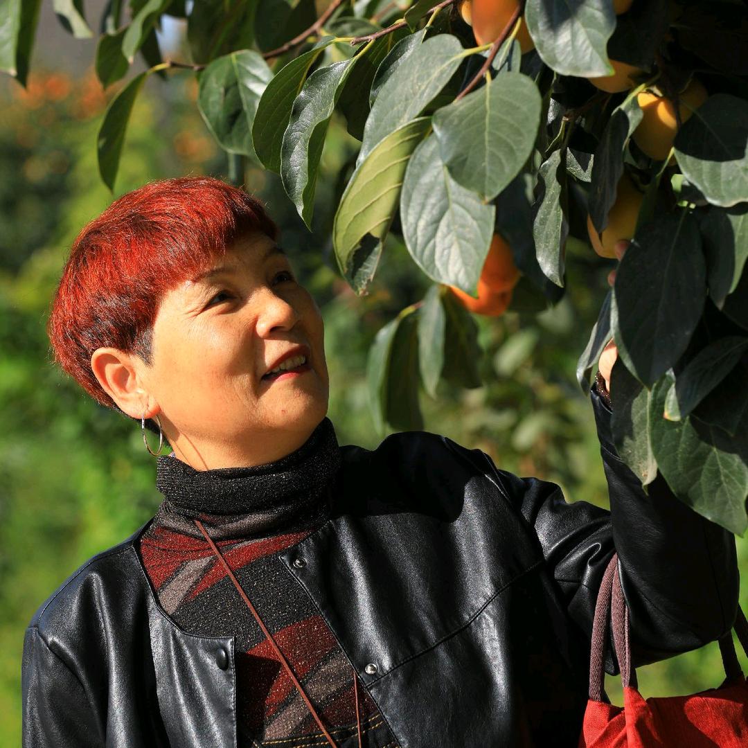 许凤