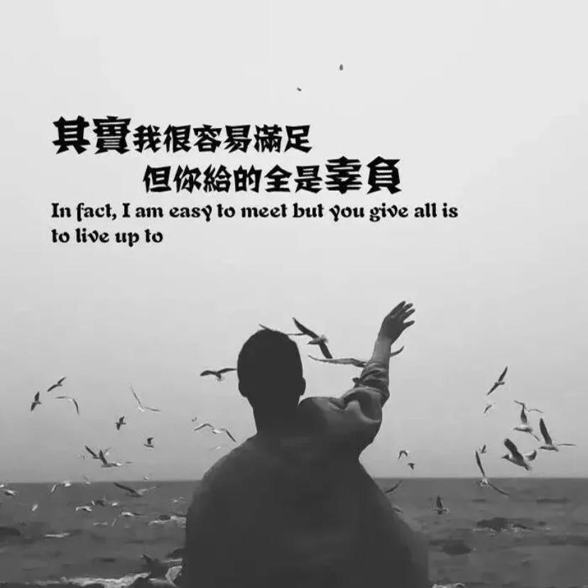 一粟梨花压海棠