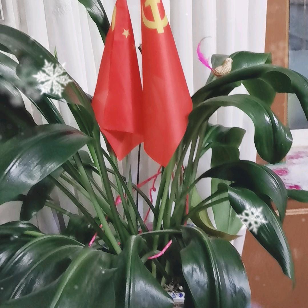 秀香