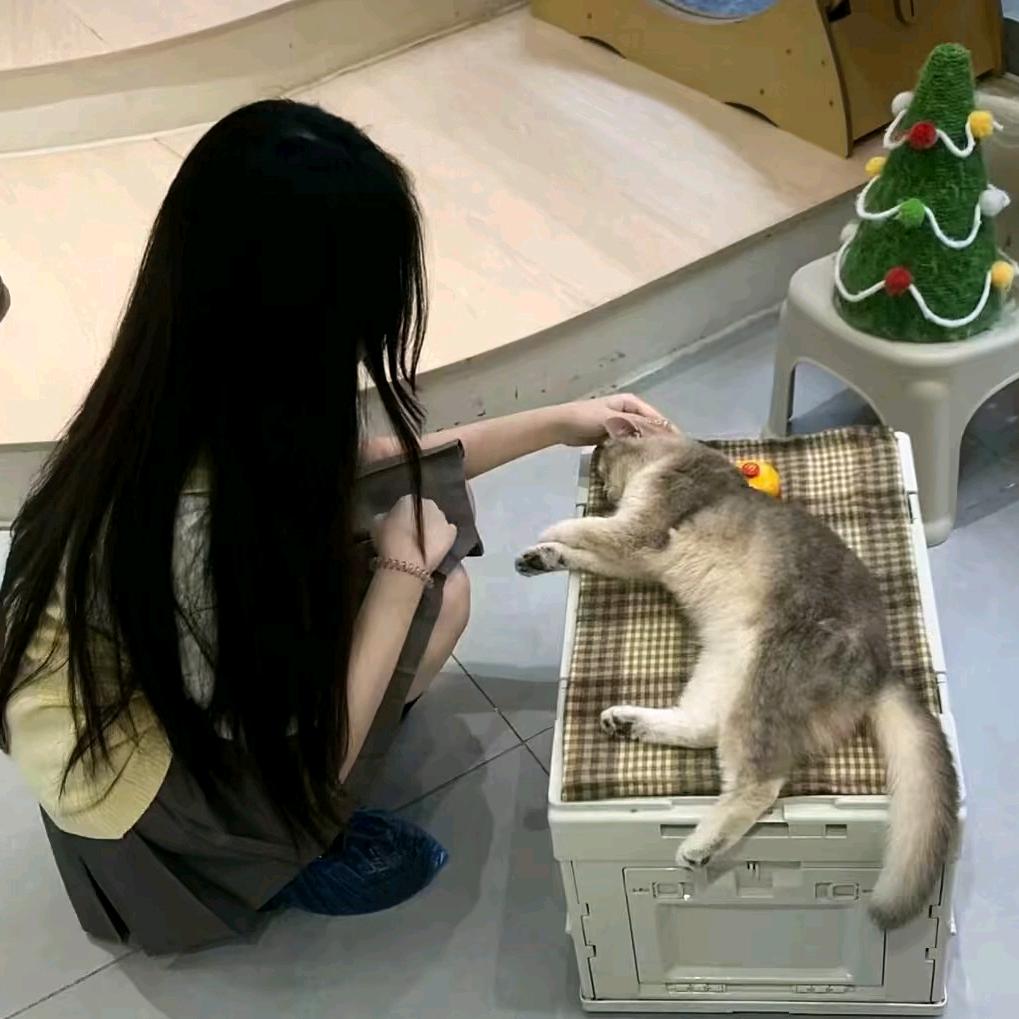 琪梦穆
