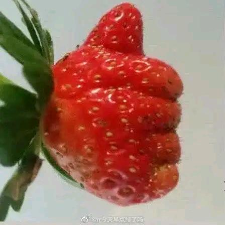 眨巴草
