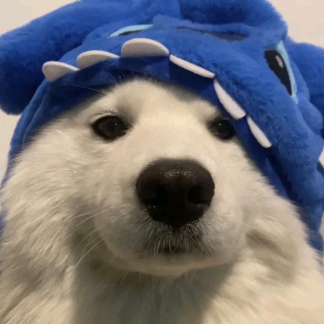 不吃🐟