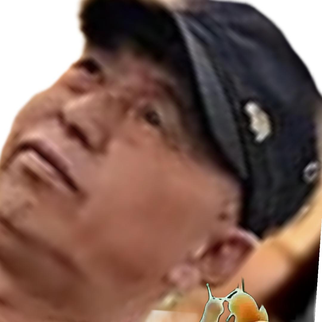 甜瓜