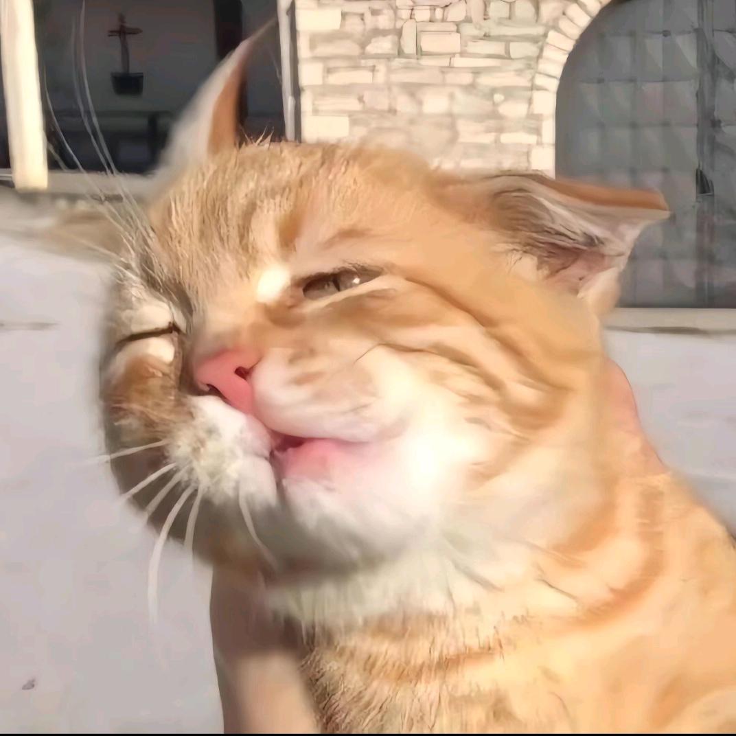 小火卢