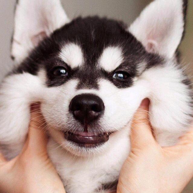 默默u爱生活