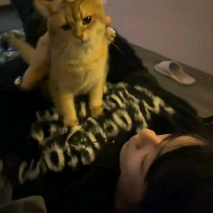 子锋