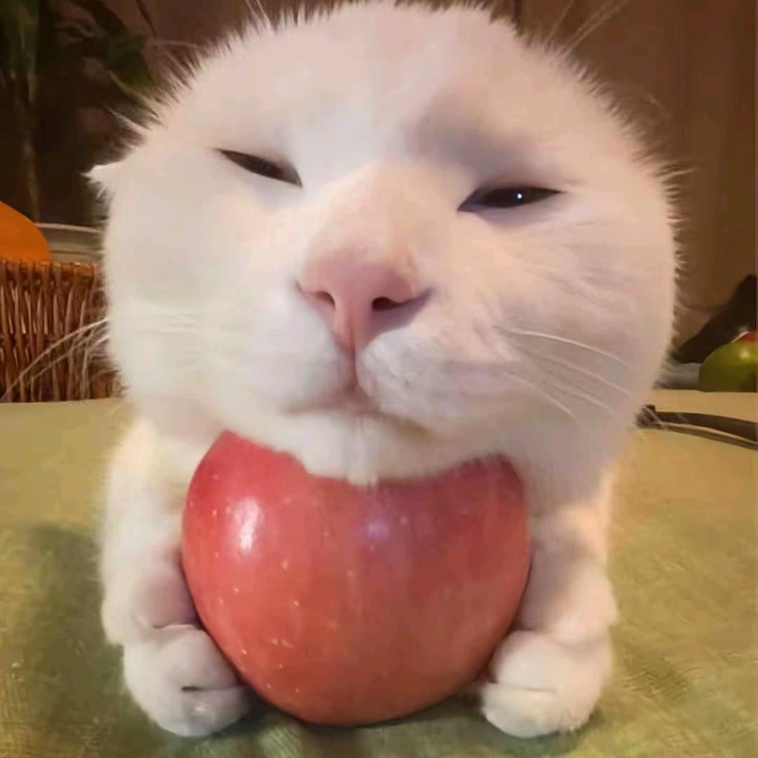 随便好吃