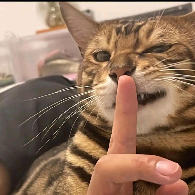 O_o