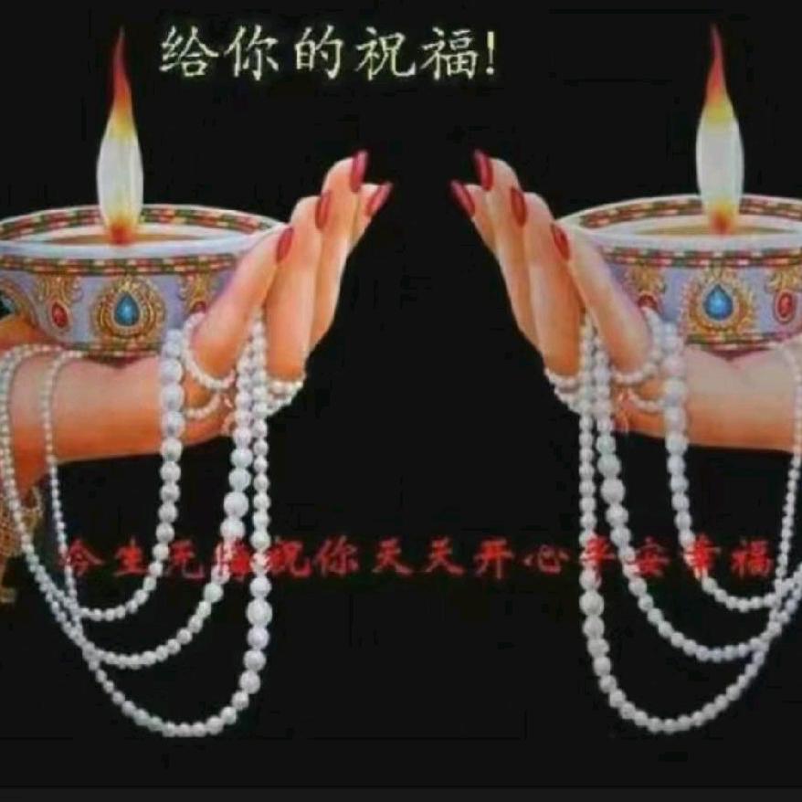 何莉