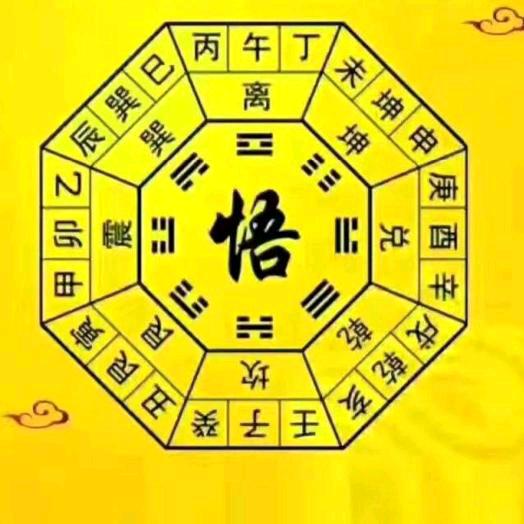代驾出租一一唯我独尊
