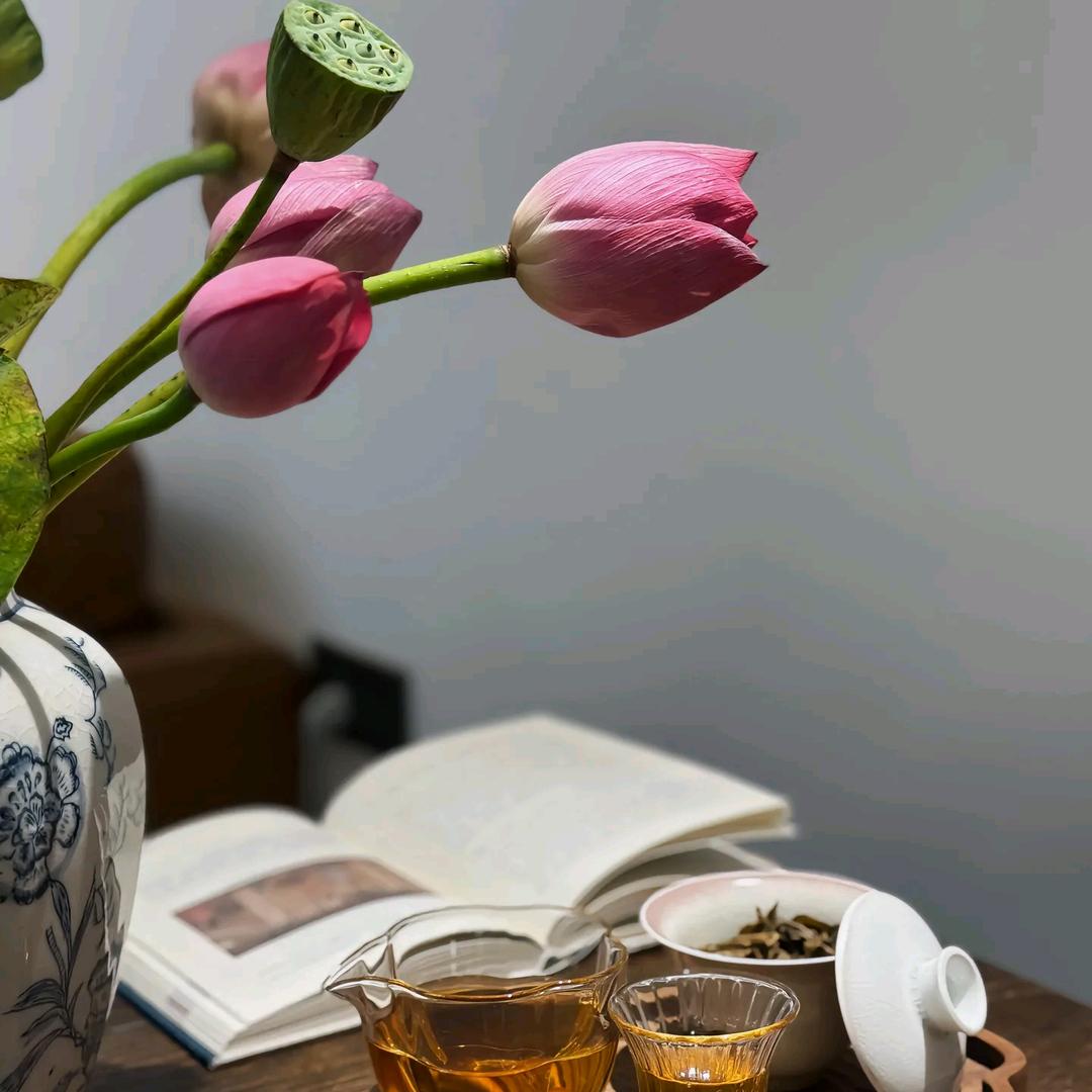 🍀财神爷的新宠儿…