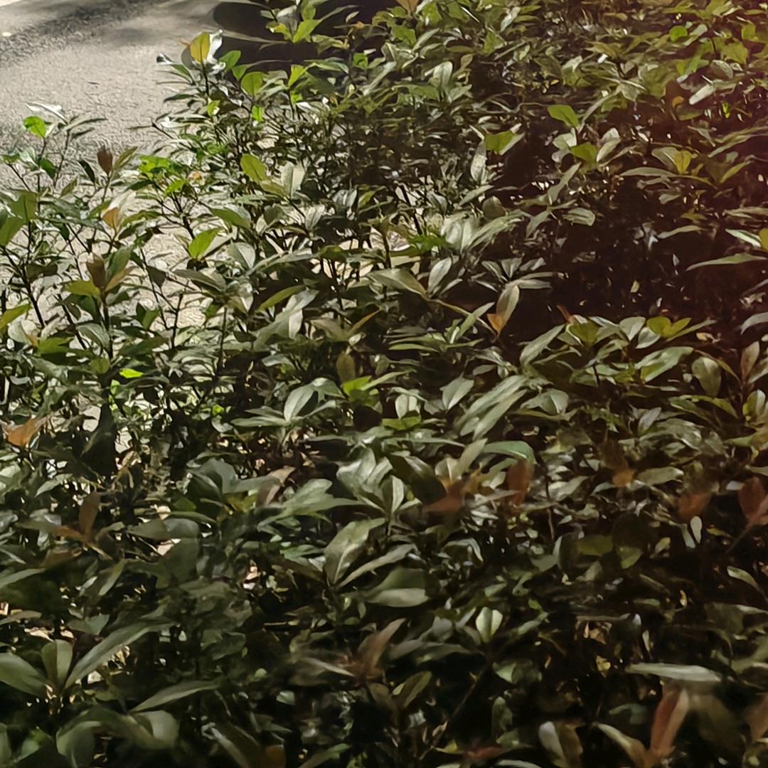 诸暨市蓝雲阁足浴