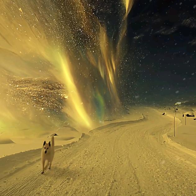 嘴馋精选《食刻在线》