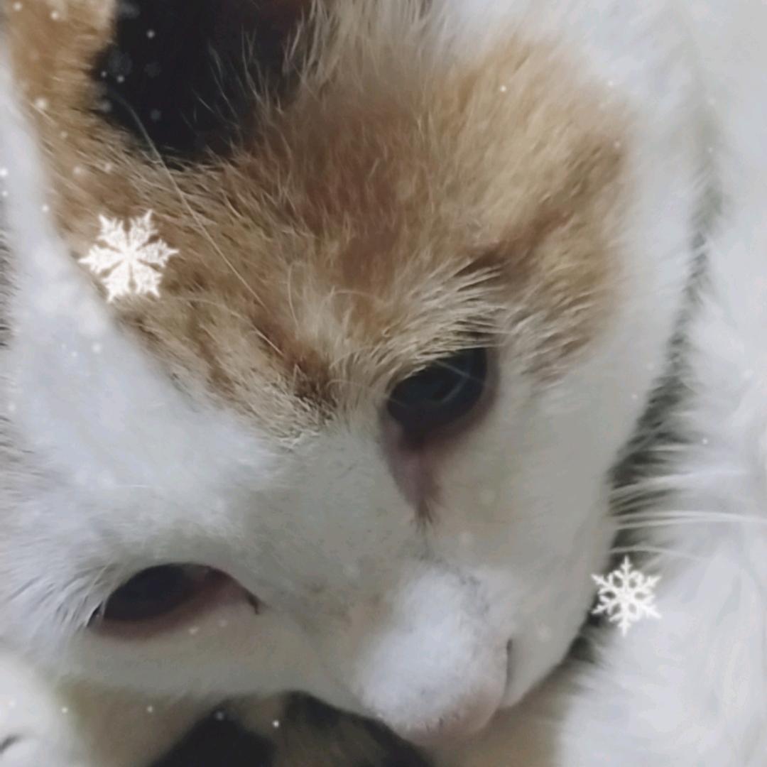 ┬┴┤_•)窥
