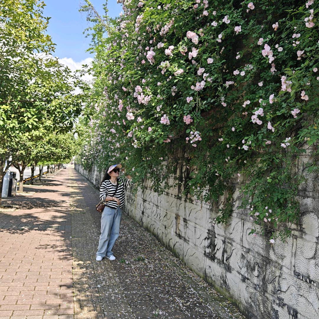 拾起光放入记忆的匣子，珍惜点滴时光。