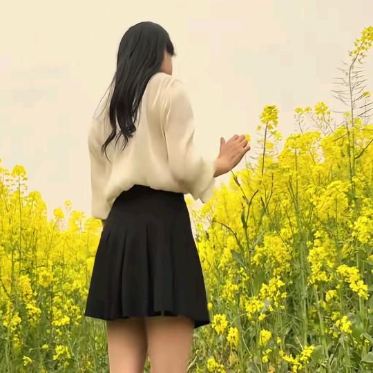 远方的雪