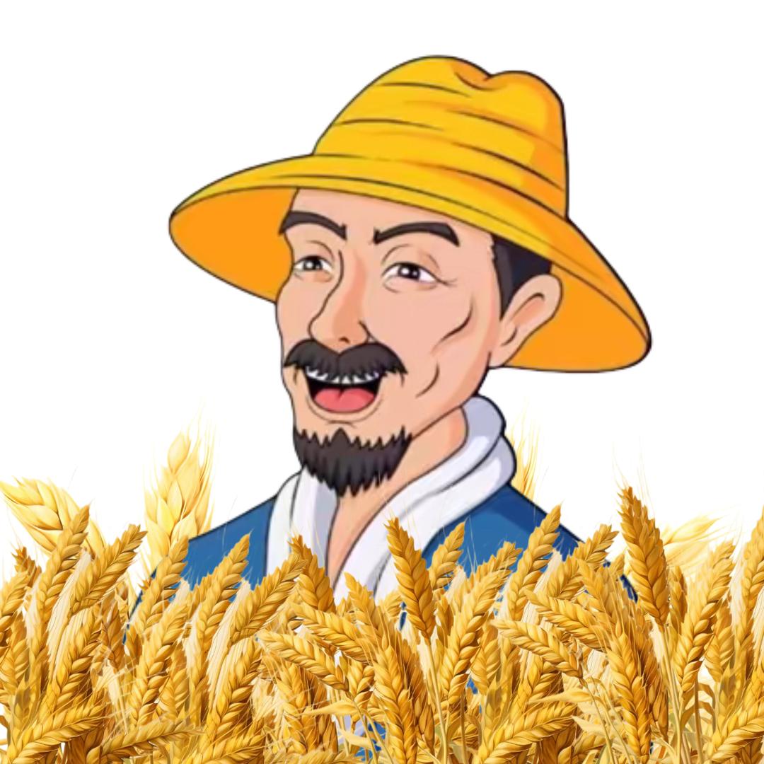 田中人