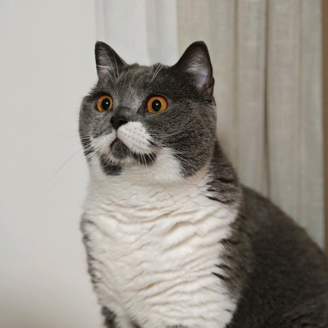 秋冬