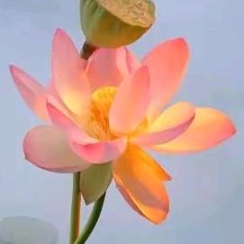 80后香童🌸🌸🌸冰姐